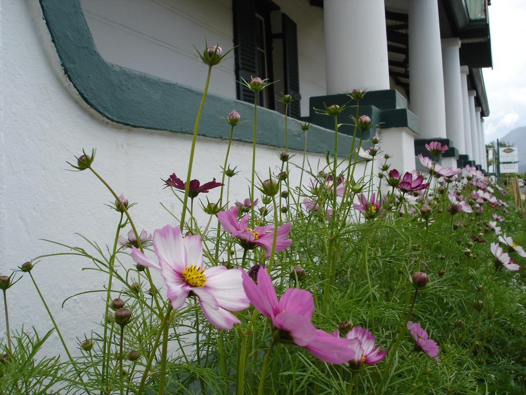 De Doornkraal Vinotel Riversdale Exterior photo