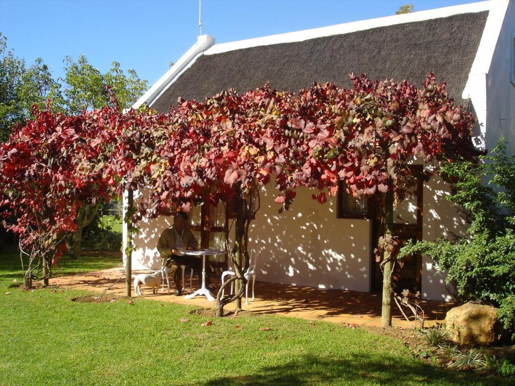 De Doornkraal Vinotel Riversdale Room photo